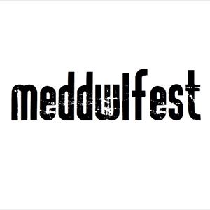 Meddwlfest 2018 Meddwlfest 2018