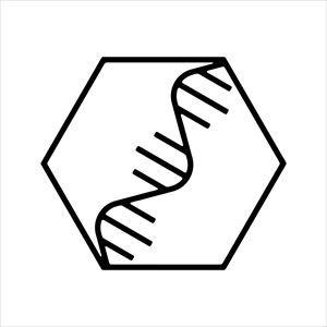 MUTATIONS FESTIVAL 2019 MUTATIONS FESTIVAL 2019