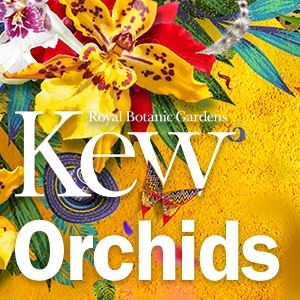 Orchid Nursery Tours Orchid Nursery Tours