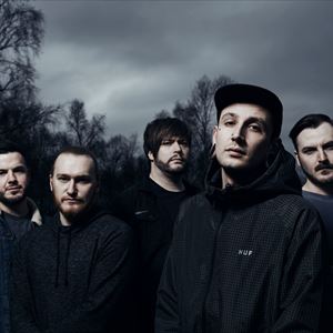 Our Hollow Our Home Our Hollow Our Home