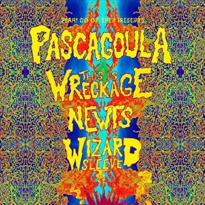 Pascugoula, TiW, Newts, Wizard Sleeve. Pascugoula, TiW, Newts, Wizard Sleeve.
