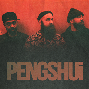 PENGSHUi PENGSHUi