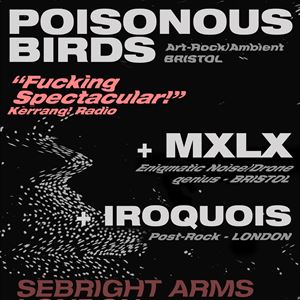 Poisonous Birds + MXLX + Iroquois (Noise/Art Rock) Poisonous Birds + MXLX + Iroquois (Noise/Art Rock)