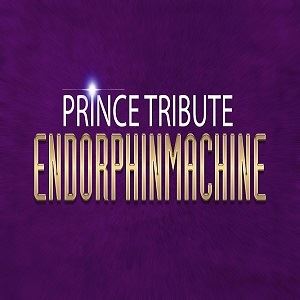 Prince Tribute - Endorphinmachine Prince Tribute - Endorphinmachine