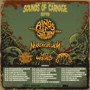 Rings Of Saturn Rings Of Saturn