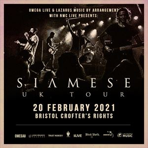 SIAMESE AT THE CROFTERS RIGHTS, BRISTOL SIAMESE AT THE CROFTERS RIGHTS, BRISTOL