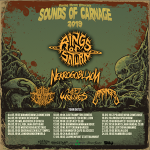 RINGS OF SATURN RINGS OF SATURN