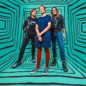 Spiderbait