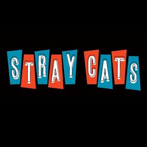 Stray Cats Stray Cats