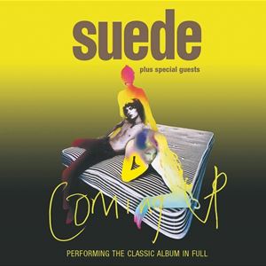 Suede Suede