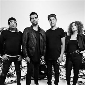 The Bays The Bays