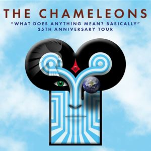 THE CHAMELEONS THE CHAMELEONS