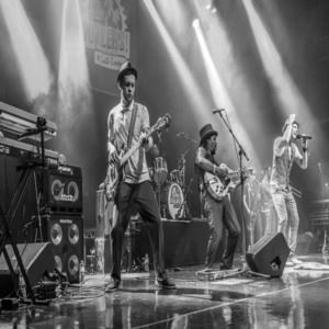 The Dualers The Dualers