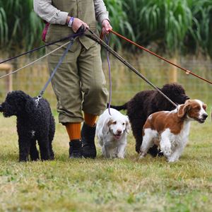 The Game Fair: Single Day Admission The Game Fair: Single Day Admission