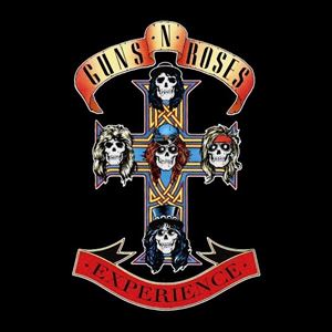 The Guns N' Roses Experience The Guns N' Roses Experience