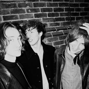 The Howlers The Howlers