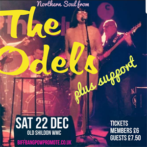 The Odel's Christmas Cracker The Odel's Christmas Cracker