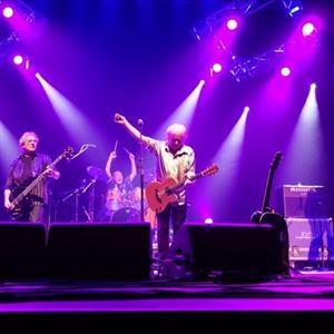 The Strawbs The Strawbs