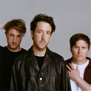 The Wombats