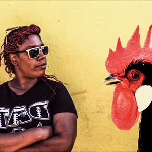 The Year Of The Rooster Monk The Year Of The Rooster Monk