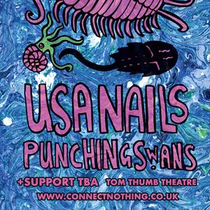 USA Nails / Punching Swans USA Nails / Punching Swans