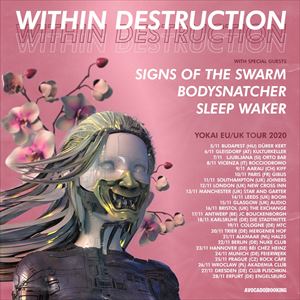 WITHIN DESTRUCTION WITHIN DESTRUCTION