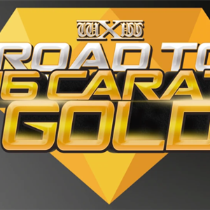 wXw Road To 16 Carat Gold wXw Road To 16 Carat Gold