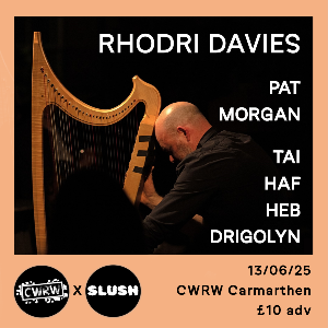 Rhodri Davies