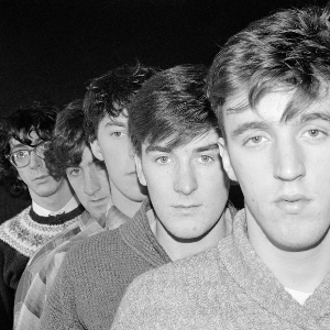 The Bluebells
