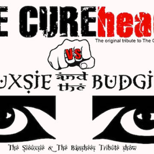 The Cureheads & Siouxsie and The Budgiees