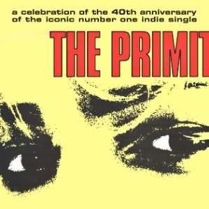 The Primitives