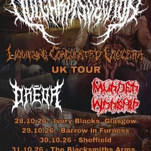 Vulgar Dissection