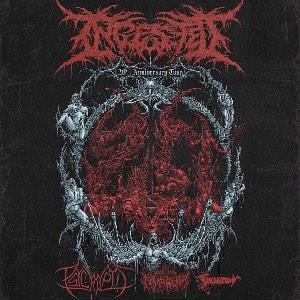 Ingested