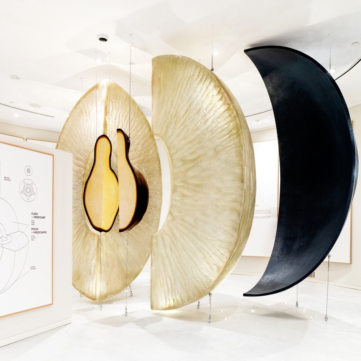 THE WINE EXPERIENCE<br>