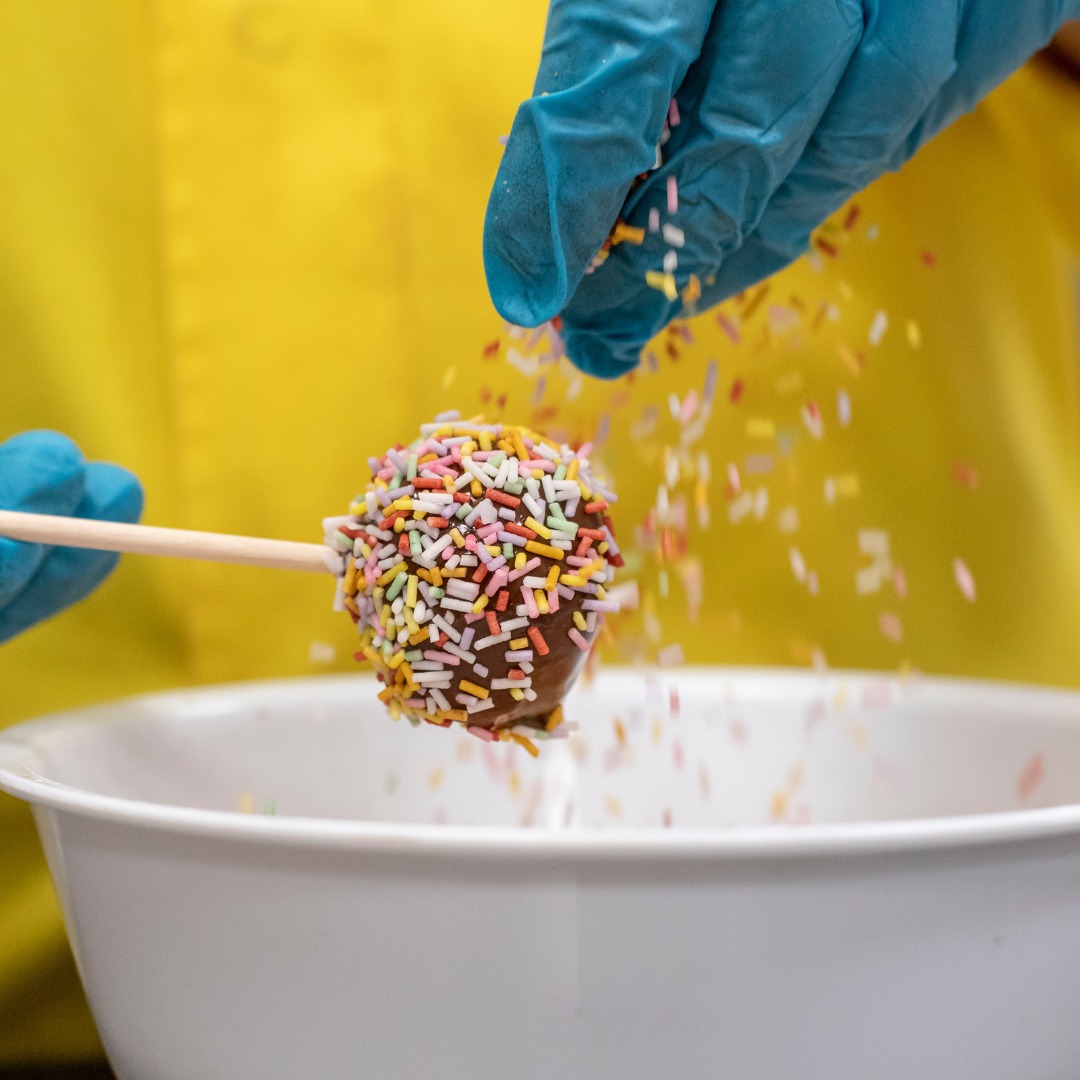 THE CHOCOLATE EXPERIENCE<br>