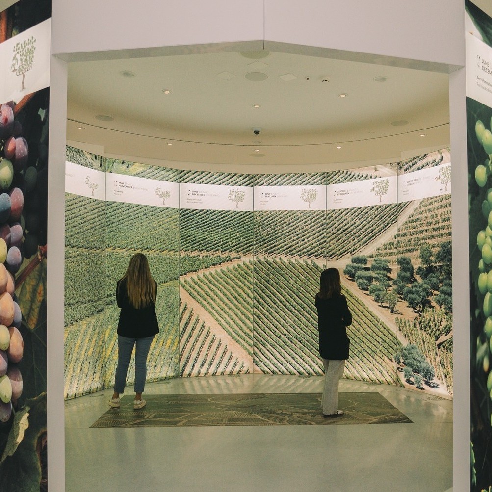 <br/>TAYLOR'S CELLAR TOUR + WOW MUSEUM