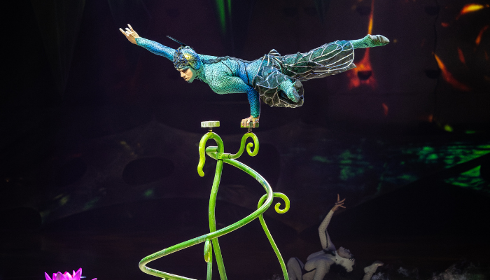 Cirque du Soleil OVO