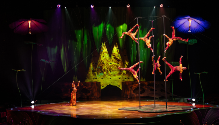 Cirque du Soleil OVO