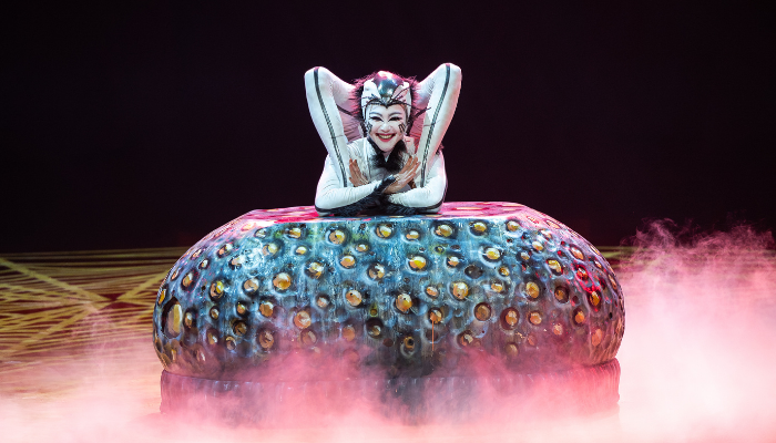 Cirque du Soleil OVO