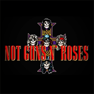 Not Guns 'n' Roses