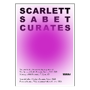 Scarlett Sabet Curates: Poetry at The Social Scarlett Sabet Curates: Poetry at The Social