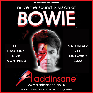 ALADDINSANE