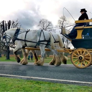 CHRISTMAS SHIRES CARRIAGE RIDES BUSHY PARK