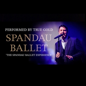 True Gold - Tribute to Spandau Ballet