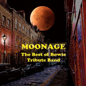 Moonage - David Bowie Tribute