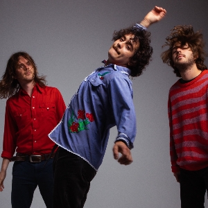 The Districts The Districts