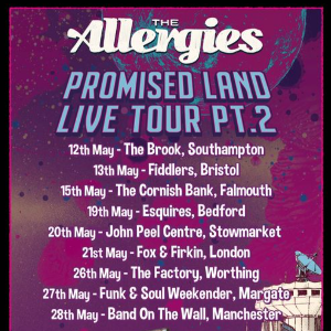 The Allergies (Live)