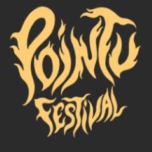 POINTU FESTIVAL - PASS 1 JOUR - DIMANCHE POINTU FESTIVAL - PASS 1 JOUR - DIMANCHE
