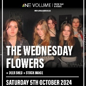 The Wednesday Flowers + Support