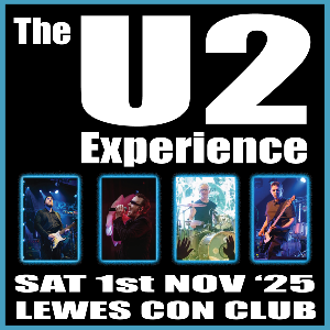 The U2 Experience